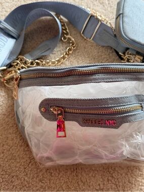 Blank NYC Clear Mini Crossbody Bag with Gray Trim and Gold Hardware